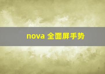 nova 全面屏手势